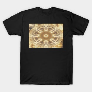 Brown Twirly T-Shirt